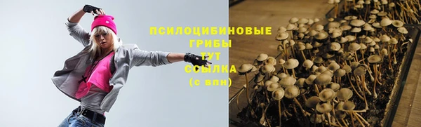 ECSTASY Кинешма
