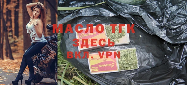 индика Козловка
