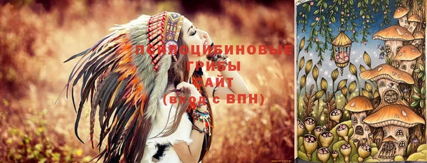 ECSTASY Кинешма