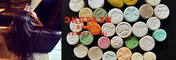 индика Козловка