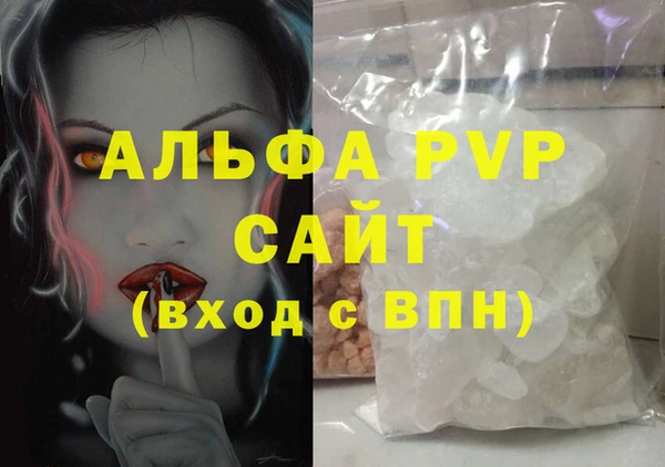 индика Козловка
