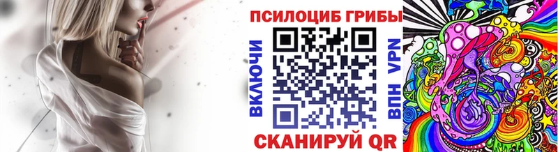 Псилоцибиновые грибы Psilocybe  Сысерть 